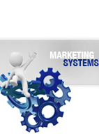 MLM Software | Marketing Systems